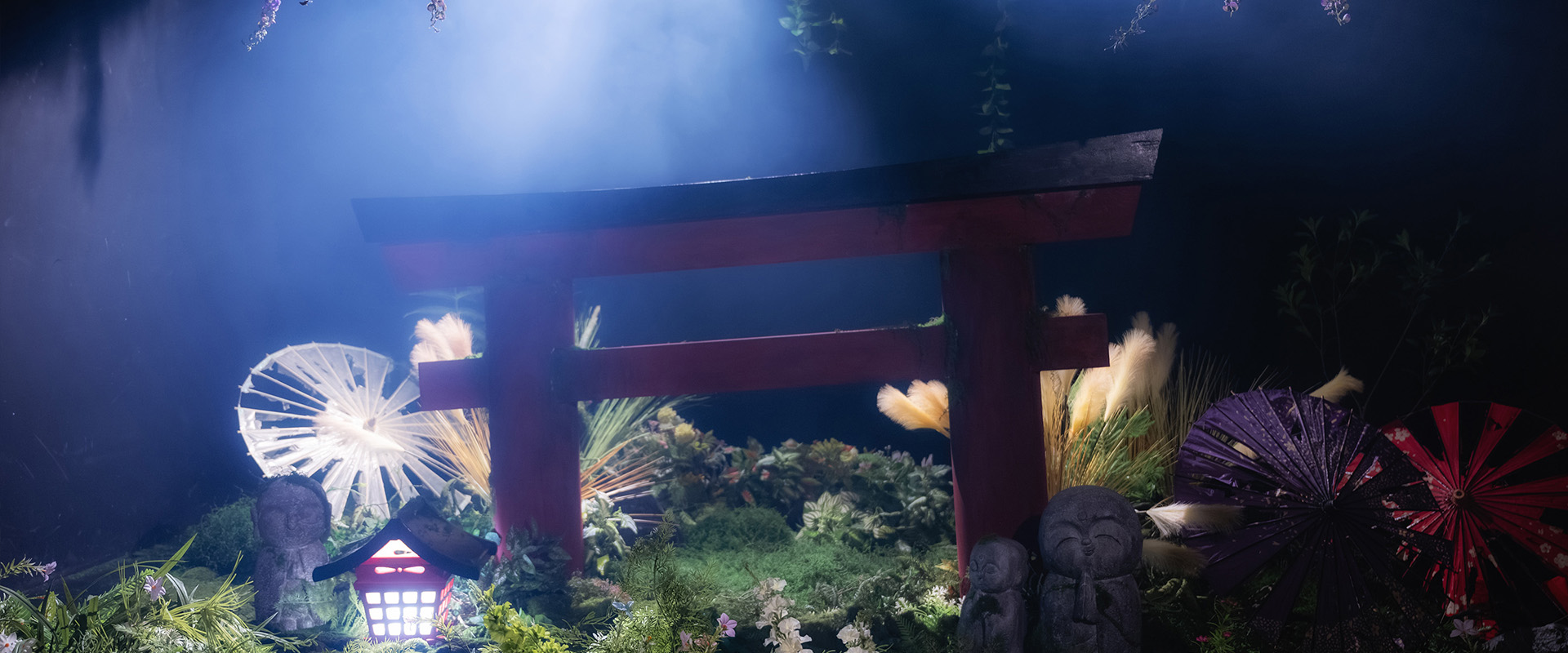 Frontier Studio Photos